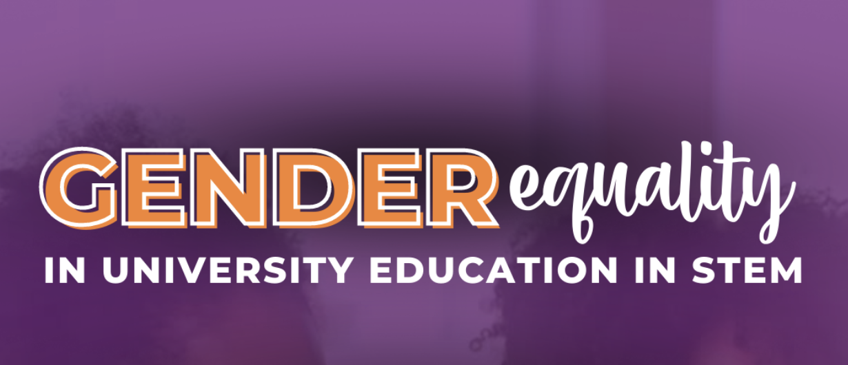 Gender Equality in University Education in STEM